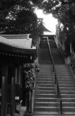 「○○への階段 01」 (film)