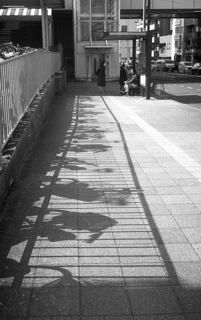 「Bus Stop」 (film)