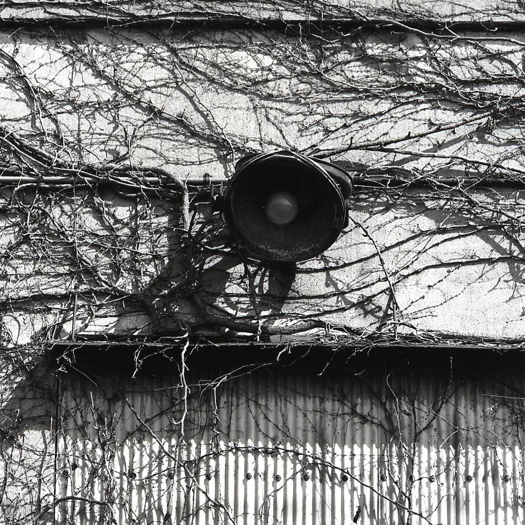 「灯」 (film:HR20)