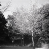 「冬公園」 (film)