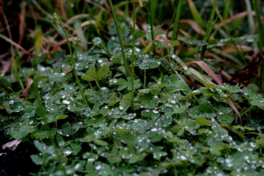 「2/16 曇り時々雨」