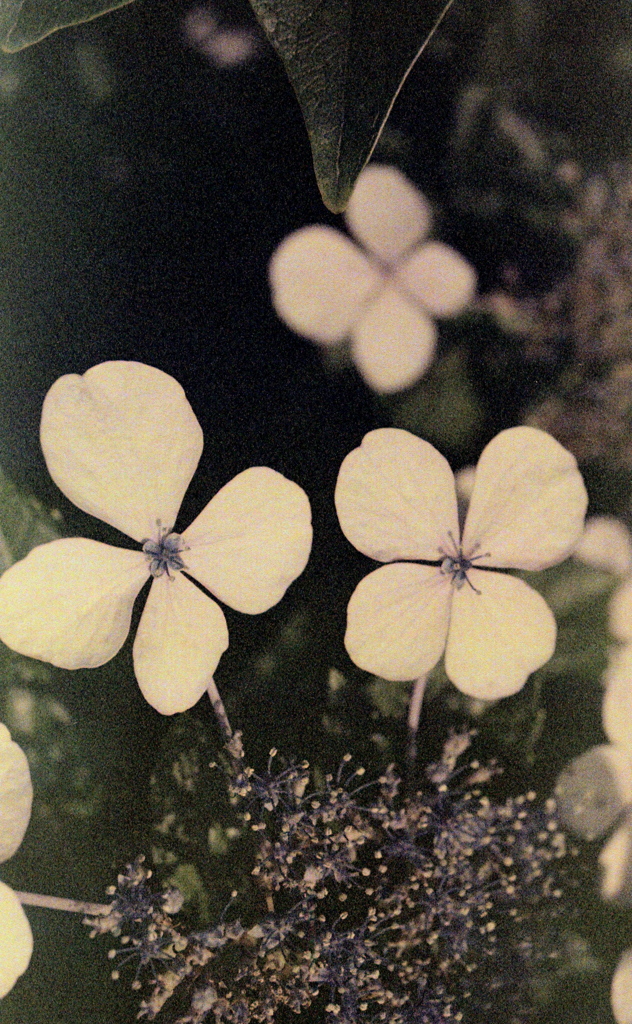 「そろそろ終わり」 (film)