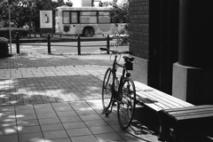 「summer」 (film:HR20)