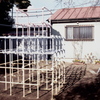 「ジャングルジム」 (film)