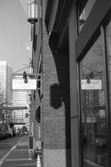 「Honeys」 (film)