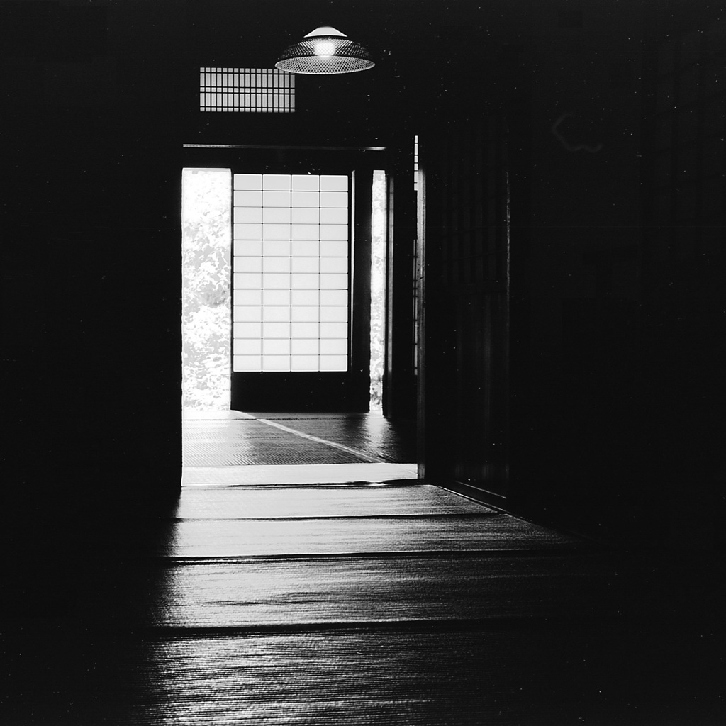 「8/11 三渓園にて」 (film:HR20)