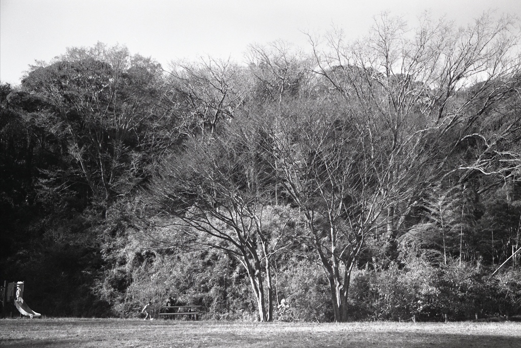 「冬公園」 (film)