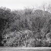 「冬公園」 (film)