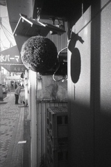 「弘明寺辺り」 (film)