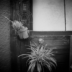 「decoration 1」 (film)