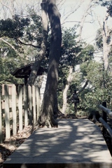 「散歩道」 (film)