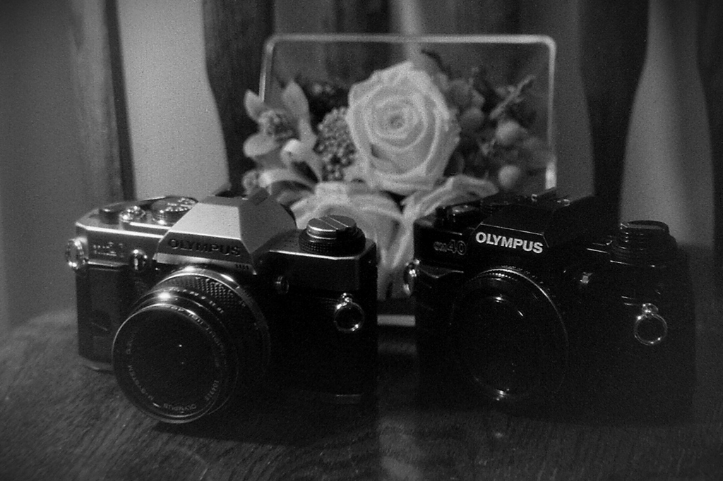 「Olympus OM-20 & OM-40」 (film)