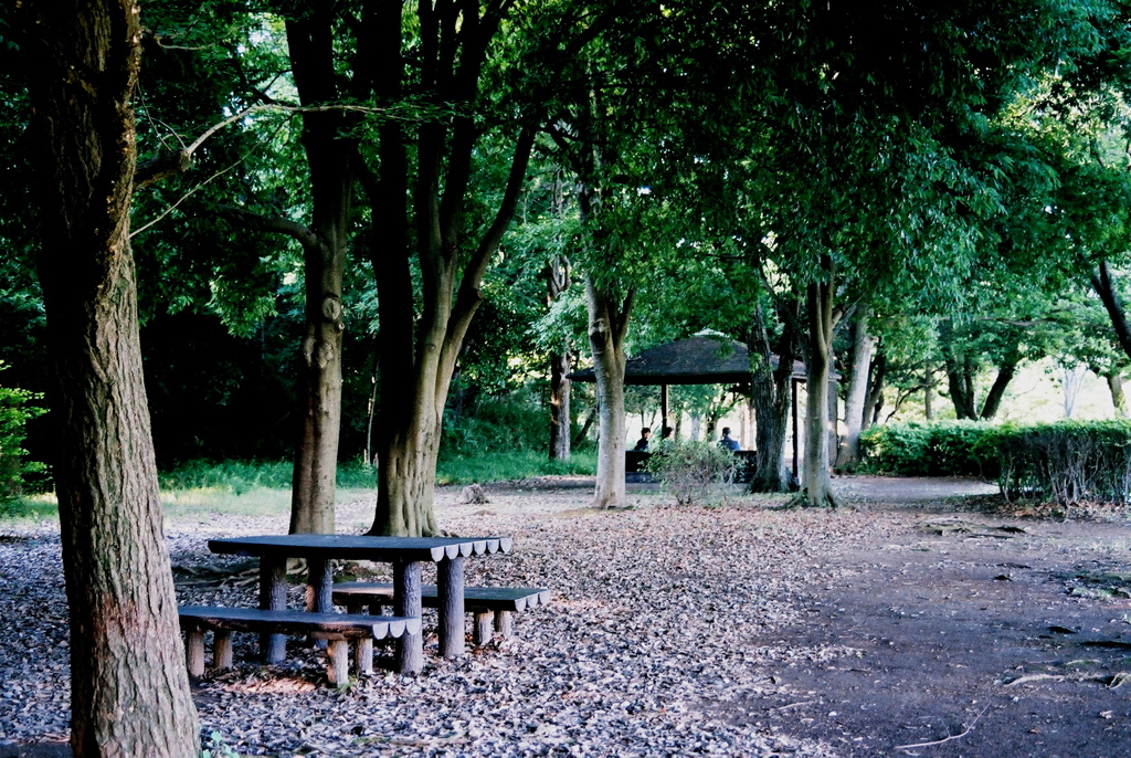 「benches 02」 (film)