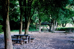 「benches 02」 (film)