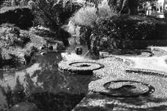 「ぐるぐる」 (film:HR20)