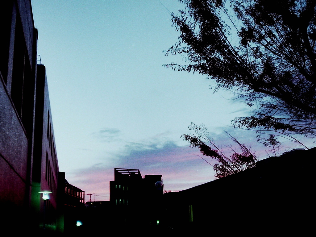 「夕暮れ」(film)