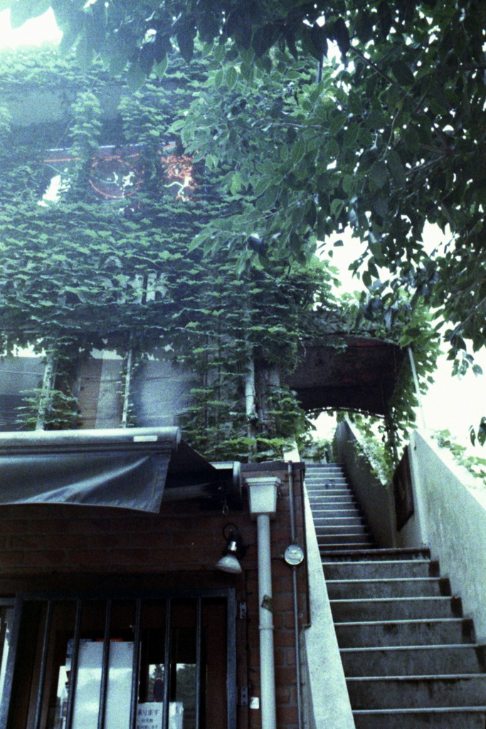 「stairs」 (film)