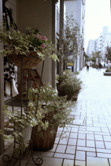 「店先plants」 (film)