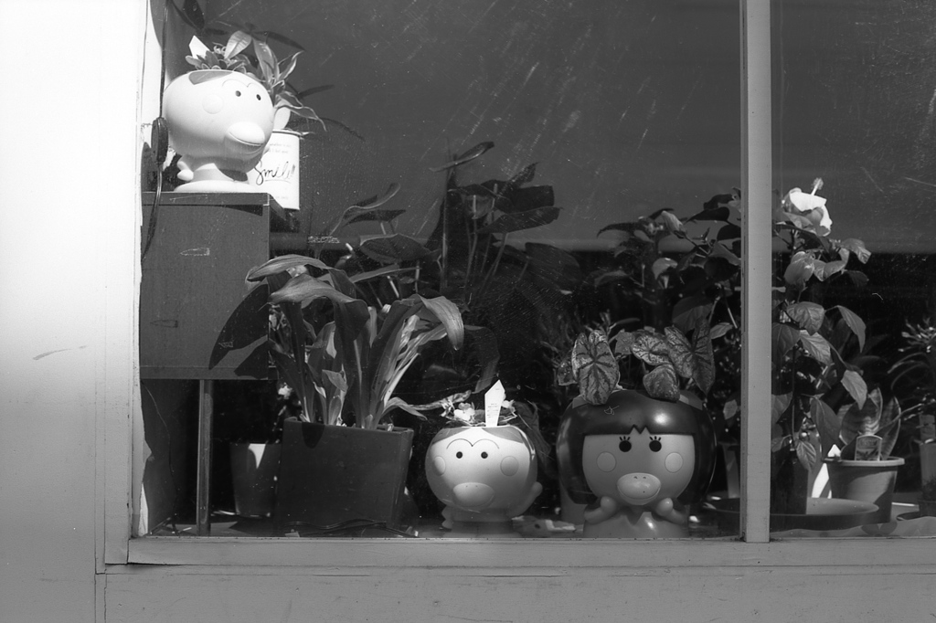 「なんだか平和です」 (film:HR20)