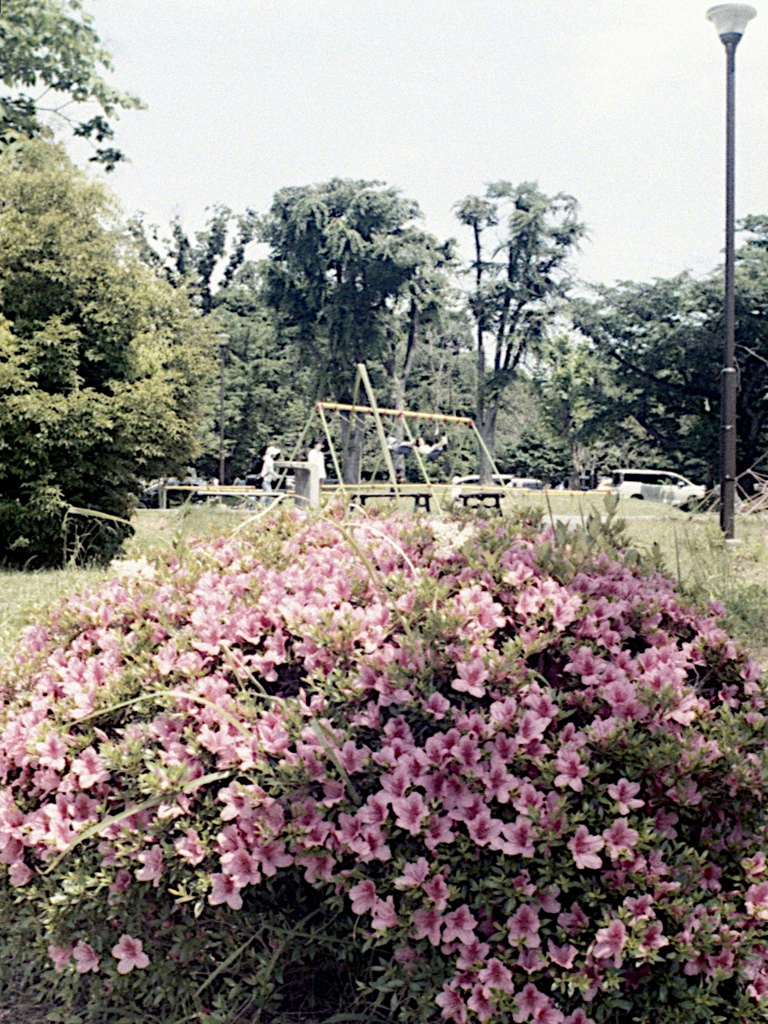 「さつき」 (film)