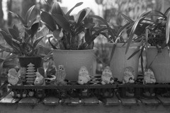 「憩い」 (film)