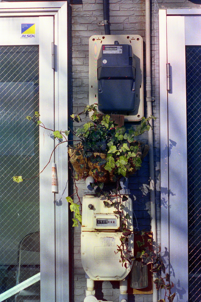 「decoration」 (film)
