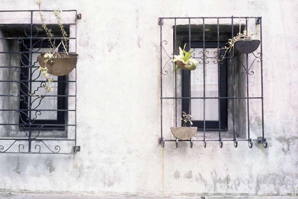 「windows」 (film)