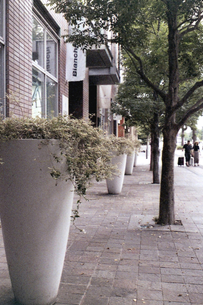 「街角」 (film)