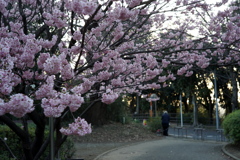 「2/24 岡村公園01」