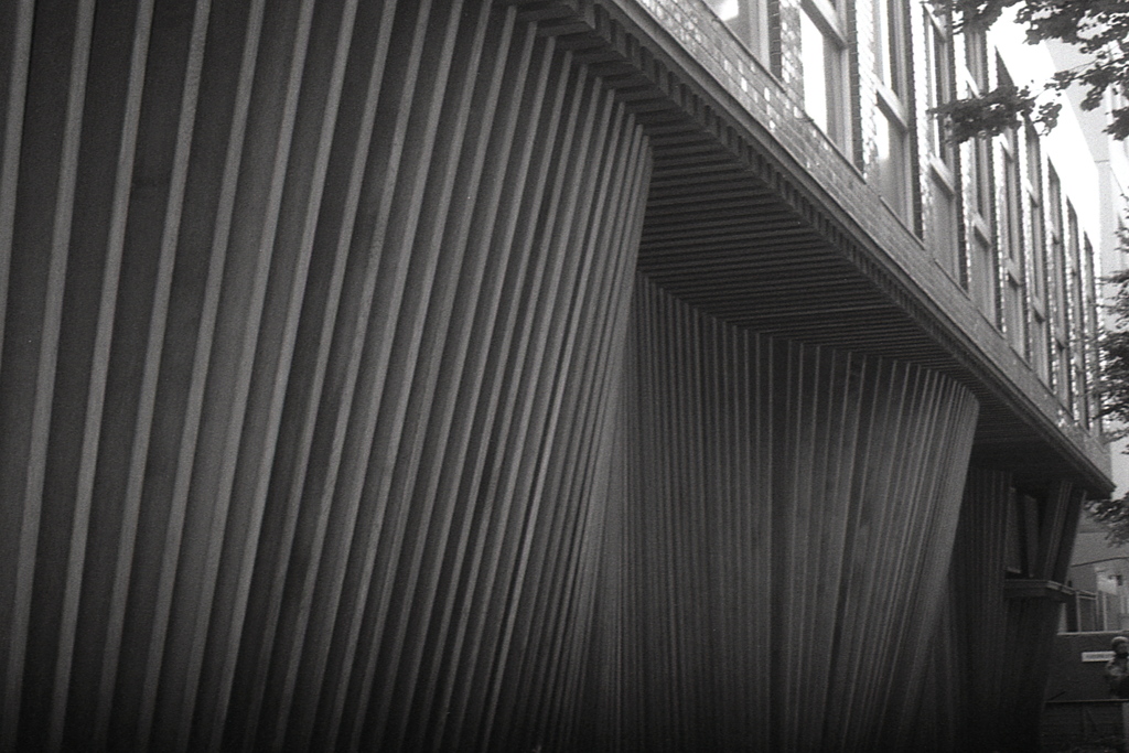 「WAVE」 (film)