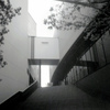 「steps」 (film)