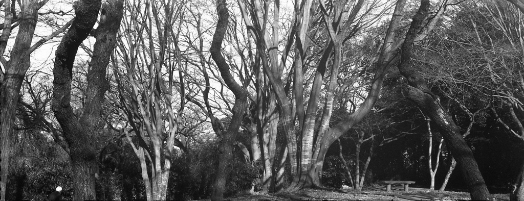 「公園で」 (film)