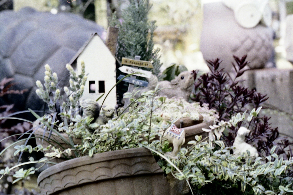 「grasses」 (film)