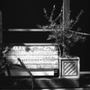 「bicycleな風景」 (film)