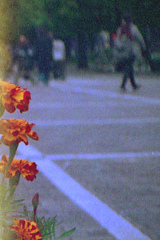 「大通り公園」 (film)