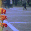 「大通り公園」 (film)