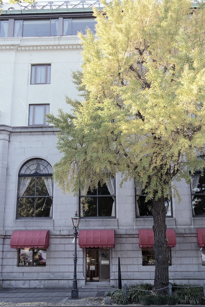 「NEW GRAND前」 (film)
