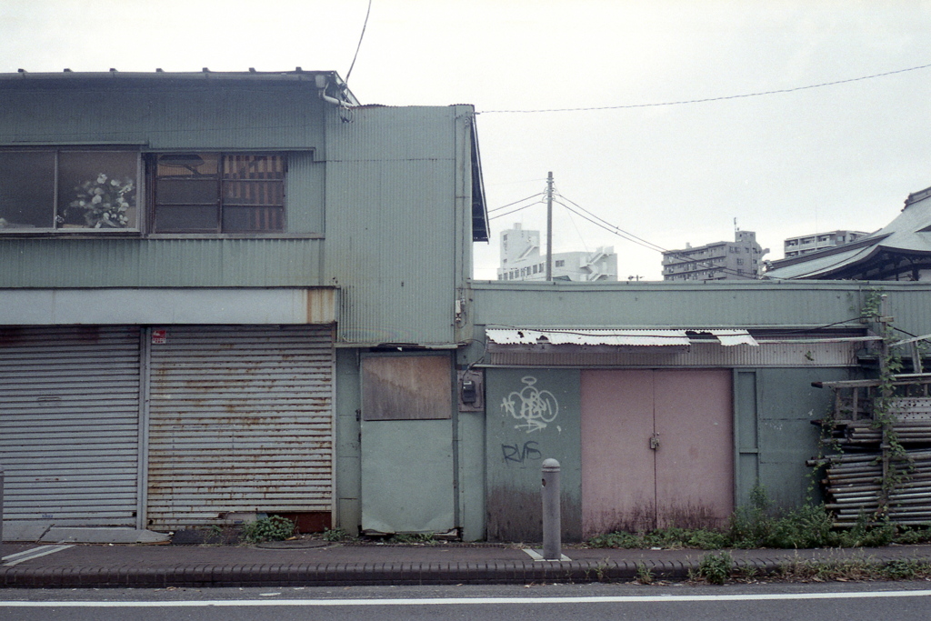 「HOUSE」 (film)