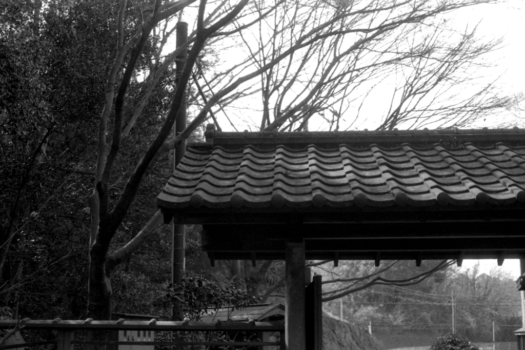 「3/1 久良岐能舞台03」 (film)
