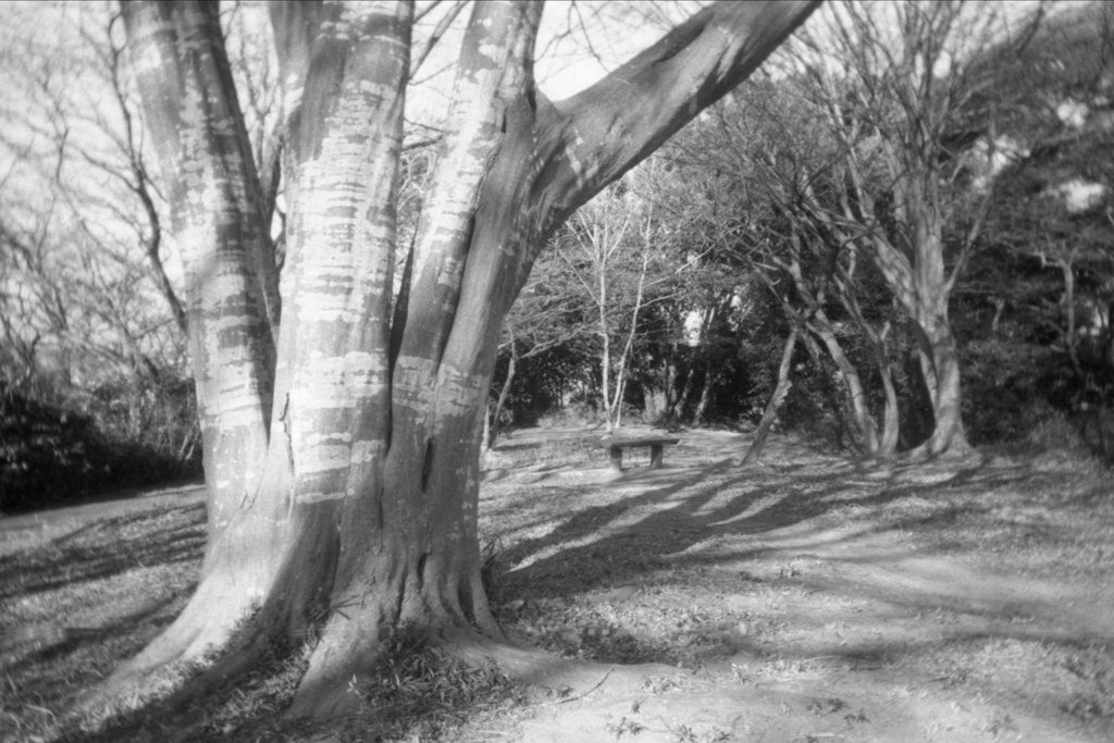 「冬公園」 (film)