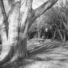 「冬公園」 (film)