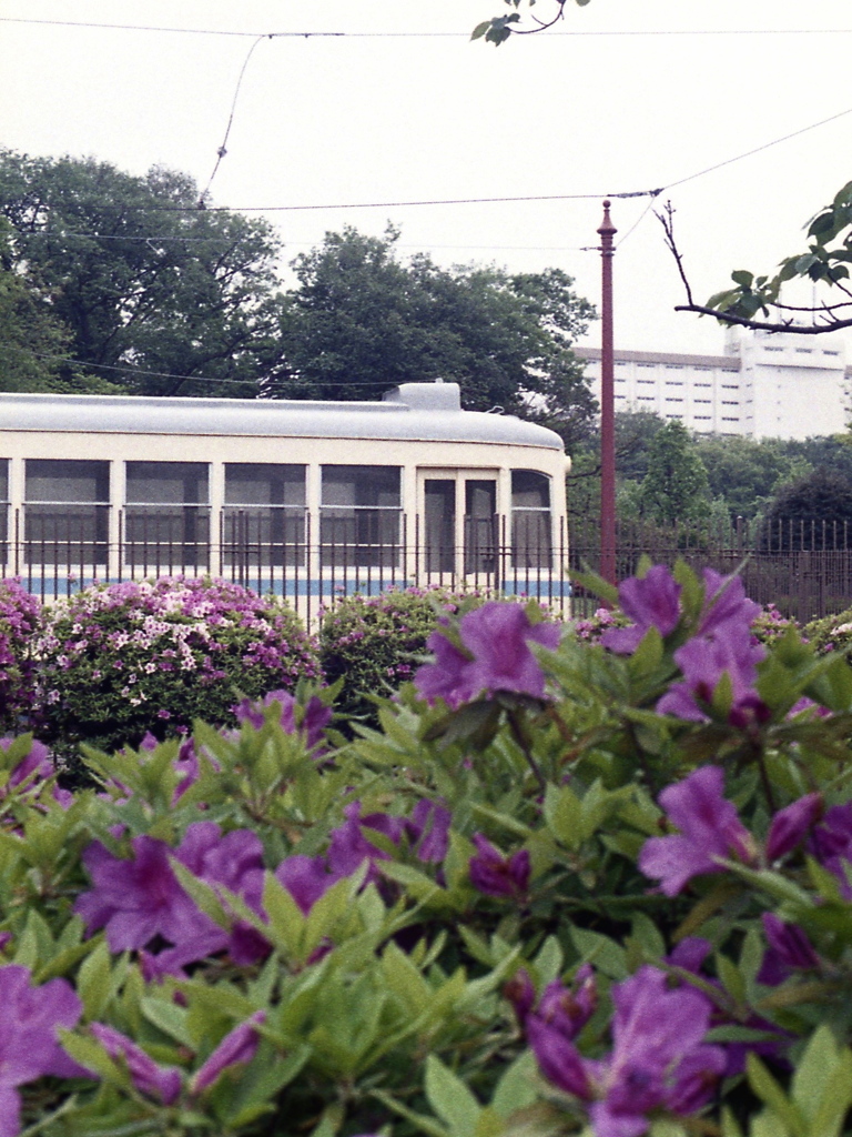 「公園で」 (film)