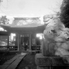 「神大寺日枝神社」 (film)