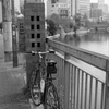 「HAMA snap: 野毛」 (film)