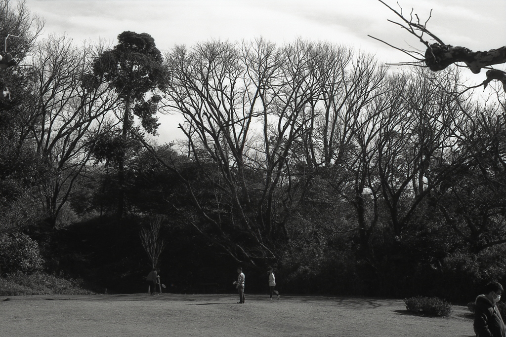 「正月の公園: 広場」 (film:HR20)