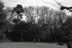「正月の公園: 広場」 (film:HR20)