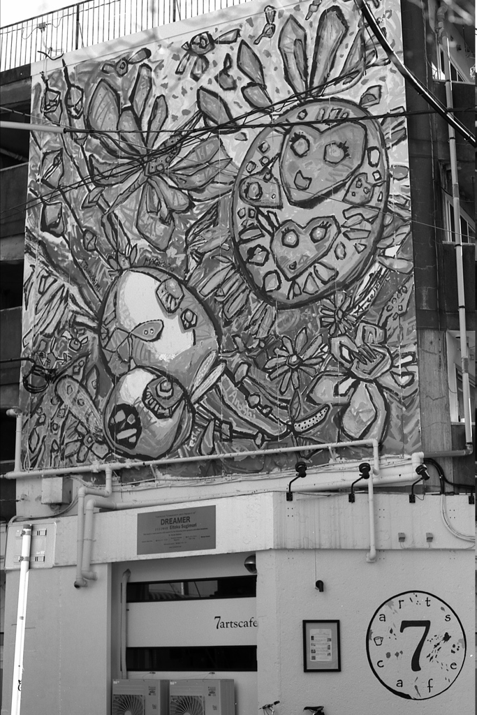 「wall art」 (film:HR20)