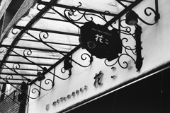 「motomachi 花こ」 (film:HR20)