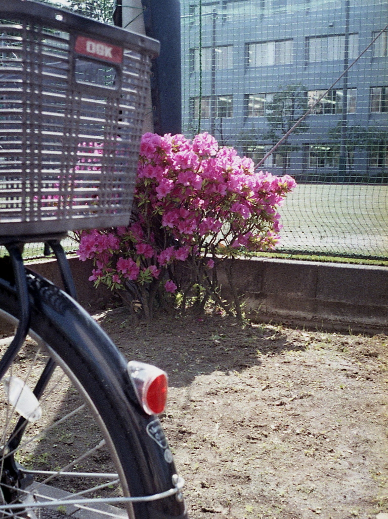 「Scene w bicycle」 (film)