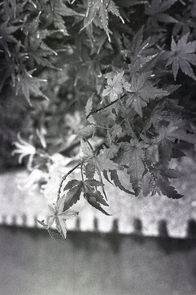 「道ばた」 (film)